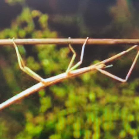 Świąteczna kartka wielkanocna 🐣